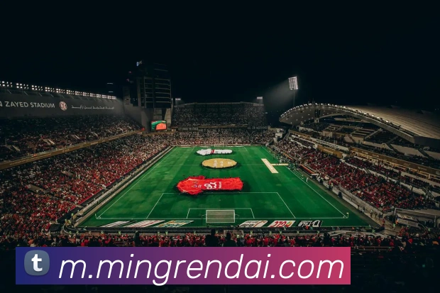 互动解说服务